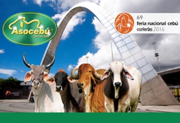 Los plazos para inscripciones y preinscripciones vencen el próximo 16 de mayo. Foto: Asocebú. 69 de la Feria Nacional Cebú