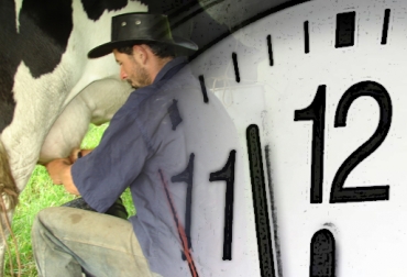 Las vacas se acostumbran al ordeñador y al horario en el que estos adelantan su labor. Foto: CONtexto ganadero. Rutinas en las vacas, vacas son rutinarias, adaptación de las vacas, costumbre de las vacas, vacas se adaptan al ordeño, Hacienda Casa de Lata, homeóstasis en bovinos, estrés en bovinos, trabajadores pecuarios aptos para el ordeño, comportamiento de las vacas, horario de ordeño, estrés en vacas, CONtexto ganadero, ganaderos Colombia