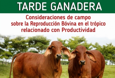 El lunes 23 de mayo los ganaderos de Antioquia y el Magdalena Medio aprenderán a alimentar a sus vacas para mejorar la reproducción. Puerto Berrío, Antioquia, Alimentación en vacas 30 días antes y 90 días después de parir, Adecuada alimentación para mejorar reproducción, oferta forrajera para vacas reproductivas, ganado de cría, Consideraciones de campo sobre la reproducción bovina en el trópico relacionado con productividad, Comité Regional de Ganaderos de Puerto Berrío, Coregan, Somex, Contexto ganadero, Ganaderos Colombia