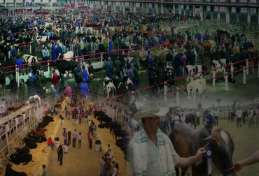 Las actividades feriales se desarrollan en países líderes tanto en razas como en producción pecuaria. Foto: CONtexto ganadero. Ferias Ganaderas