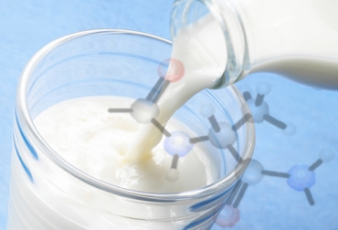 El porcentaje de proteína de la leche puede variar de acuerdo a la etapa de la lactancia en que se encuentra la vaca. Foto: chavezskincare.wordpress.com. proteína en la leche, porcentaje de proteína, producción de leche, ganadería de leche, forraje de buena calidad, Compuesto basado en almidón, residuos de subproductos, CONtexto ganadero