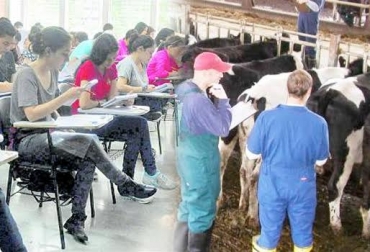 Muchos estudiantes del sector no se interesan en capacitarse en aspectos de gerencia y administración. Foto: CONtexto ganadero. administración de empresas ganaderas, gerencia de ganaderías, Gerencia Estratégica de la Empresa Ganadera, Universidad CES, Diplomado en Gerencia Estratégica de la Empresa Ganadera
