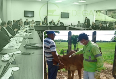 Fedegán hizo un reconocimiento a los funcionarios del FNG vinculados a las labores del Ciclo. Foto: CONtexto ganadero. Ciclo de vacunación de Fedegán
