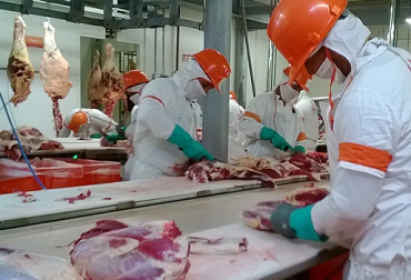 El 1500 elevará el estatus sanitario del país para acceder a mercados más exigentes. Foto: CONtexto ganadero. decreto 1500, decreto 1500 noticias, decreto 1500 invima, decreto 1500 fedegán, lagaurie decreto 1500, aplazamientos decreto 1500, contextoganadero