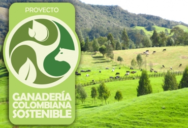 Conozca los avances del proyecto Ganadería Colombiana Sostenible en las en 5 ecorregiones beneficiadas. Foto: http://ganaderiacolombianasostenible.co. avances del programa Ganadería Colombiana Sostenible, ganaderos beneficiados, sistemas silvopastoriles, GEF, cercas vivas, CONtexto ganadero
