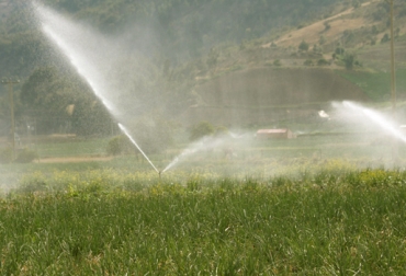 Para que una pastura sea exitosa, se debe hacer una cuidadosa planificación antes de iniciar la siembra. Foto: CONtexto ganadero. Sembrar pastura exitosa, siembra exitosa de pasto, sembrar pastos, cómo sembrar pastos para garantizar siembra exitosa, claves pastura exitosa, recomendaciones pastura exitosa, sobrefertilización, suministro de agua, factor climático, condiciones del suelo, siembra de pasturas exitosa en Colombia, CONtexto ganadero, ganaderos Colombia