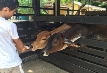Todas las maravillas del campo se trasladarán del 5 al 9 de octubre próximo a Barranquilla. Foto: Cortesía. Agroexpo Caribe