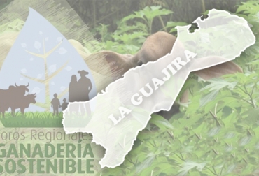 Unod e los objetivos es que se creen pequeñas mesas regionales de ganadería sostenible. Foto: CONtexto ganadero. Ganadería Colombiana Sostenible, Ganadería Colombiana Sostenible colombia, Ganadería Colombiana Sostenible noticias, proyecto Ganadería Colombiana Sostenible, Ganadería Colombiana Sostenible cifras, fedegán Ganadería Colombiana Sostenible, contexto ganadero