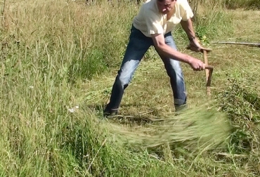 Al cambiar de especie de pasto, un ganadero debe tener en cuenta las condiciones propias del terreno y hacer un análisis del suelo. Foto: www.cabrette-accordeon.com Cambiar pasto, cambiar especie de pasto, renovación de praderas, criterios para cambiar de especie de pasto, razones para cambiar especie de pasto, razones renovación de praderas, evaluación de terrenos para cambiar especie de pasto, consejos para cambiar especie de pasto, forraje, Pradera, potrero, terreno, CONtexto ganadero, ganaderos colombia