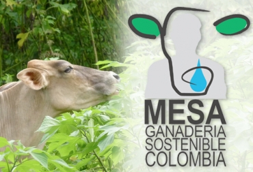 La Mesa tiene como fin contribuir en la elaboración de una política pública de ganadería sostenible. Foto: http://ganaderiacolombianasostenible.co Mesa Nacional de Ganadería Sostenible, Mesa Nacional de Ganadería Sostenible noticias, Mesa Nacional de Ganadería Sostenible Colombia, Mesa Nacional de Ganadería Sostenible Fedegán, noticias, Mesa Regional de Ganadería Sostenible, ganadería colombiana sostenible, ganadería colombiana sostenible fedegán, CONtexto ganadero, ganaderos colombia