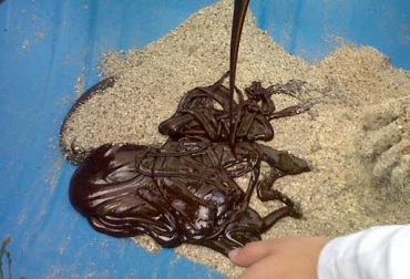 La miel favorece la producción de energía que requieren los semovientes. Foto: www.publitell.com. miel de purga, miel de purga para bovinos, usos de la miel de purga, miel de purga proviene del azúcar, ganadería, ganadería colombia, miel de purga con materia seca,