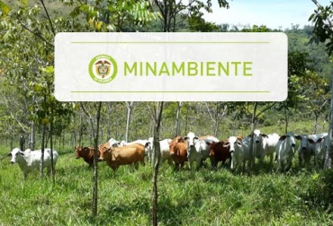 La iniciativa va a ser financiada por el Proyecto Ganadería Colombiana Sostenible, Banco Mundial y recursos provenientes de fondos internacionales. Foto: CONtexto ganadero. Nama, Nama minambiente, Nama Ganadería, Acciones Nacionalmente Apropiadas de Mitigación, namas colombia, MinAmbiente, Reconversión ganadera, reconversión ganadera en Colombia, Ganadería Sostenible, mitigación del cambio climático, adriana pinto braun, Sistemas Silvopastoriles Intensivos, sumideros de carbono, CONtexto ganadero