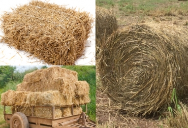 Hay diferentes formas de empacar el heno, las más comunes son en fardos (paquetes) pequeños o grandes, o en rollos. Foto: www.ehowenespanol.com - Cipav - contextoganadero.com fabricación de heno, heno para ganado, formas de empacar heno, heno para épocas críticas, alimentación bovina, CONtexto ganadero