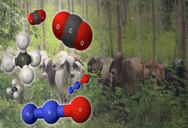 Los gases que más emiten las explotaciones ganaderas son metano, óxido nitroso y dióxido de carbono. Foto: holaciudad.com / CONtexto ganadero. Ganadería emisión GEI, emisión gases efecto invernadero, Ganadería Sostenible, ganadería sostenible Colombia, huella de carbono, gases de efecto invernadero, gases contaminantes de la ganadería, beneficios de los sistemas silvopastoriles, beneficios de la ganadería, efectos positivos en el medio ambiente, CONtexto ganadero, ganaderos Colombia