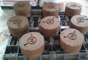 El proyecto pretende obtener un subproducto sin químicos, económicos e ideal para las temporadas extremas. Foto: Cortesía. bloques nutricionales, preparación de bloques nutricionales, bloques nutricionales sin urea, urea en ganadería, urea en la alimentación animal, Ganadería, universidad francisco de paula santander ocaña, césar urón castro, Ganadería Sostenible, CONtexto ganadero, ganadería colombia
