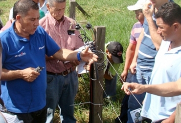 La instalación de cercas eléctricas debe hacerse de forma correcta para evitar problemas como el mal funcionamiento del equipo. Foto: asoganorte.com.co Errores instalación cercas eléctricas, instalación cercas eléctricas Valle del Cauca, errores cercas eléctricas, Cogancevalle, Día de campo Ferragro abril 2017, día de campo Cogancevalle abril 2017, Cercas solares, paneles solares, cercas eléctricas, energías renovables, comercialización, tecnologías para el sector ganadero, kits solares, energía solar, CONtexto ganadero, ganaderos Colombia