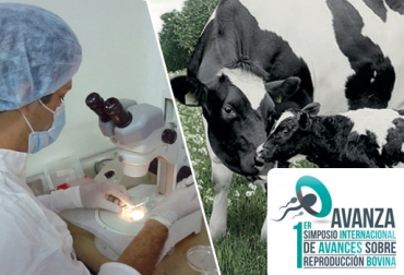 Una de las fortalezas de Avanza está en los expertos con los que contará. Foto: periodico.sena.edu.co / MSD Salud Animal. reproudcción animal