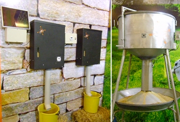 Existen comederos que permiten determinar la cantidad exacta de leche y concentrado que necesita cada animal de manera individual al día. Foto: agromundo.co comederos automáticos para terneros, dosificador de concentrado y leche para terneros, dispensador de alimentos para terneros, alimentación de terneros, manejo de terneros, CONtexto ganadero