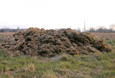 La materia orgánica juega un papel clave en la recuperación del pastizal, ya que permite la aparición de microorganismos que mejoran el suelo. Foto: jardineriaon.com. pastos, pastizales, recuperar pastizales, materia orgánica en el potrero, beneficios de la materia orgánica en el suelo, ecosistema, organismos que habitan en la tierra, Ganadería, Ganadería Sostenible, ecosistemas ganaderos, contexxto ganadero, ganadería colombia