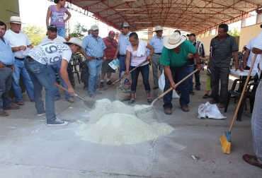 Preparación de la fórmula de sales mineralizadas con azufre. Foto: Jalisco Ganadero. La ingesta de azufre por los bovinos, ganancia de peso, aumento de la producción de leche, control de garrapatas