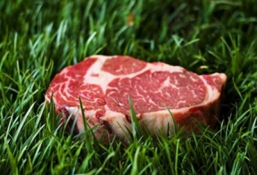 La enciclopedia revela todo el proceso para obtener una carne orgánica en el trópico. Foto: cdn2.cutypaste.com. carne orgánica, carne verde, producción de carne natural en trópico, ganadería en trópico, guillermo acevedo rodríguez, CONtexto ganadero, ganadería colombia