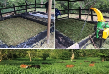 El ganadero aprovecha sus praderas para hacer los silos en las albercas que se ven en la imagen. Foto: Néstor Stave Proceso para elaborar silo y heno a bajo costo, ensilaje bajo costo, henificación bajo costo, productor hace silos baratos, productor hace henos baratos, ganadero de Atlántico, producción manual de silos, producción manual de henos, CONtexto ganadero, ganaderos colombia
