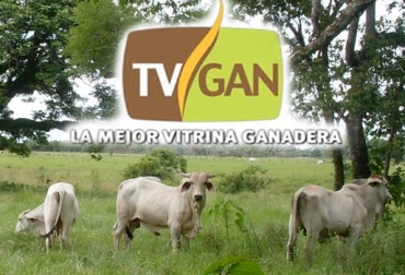 El próximo 14 de junio, los ganaderos del Meta podrán disfrutar de un remate exclusivo de TVGAN, Compañía Ganadera del Meta y Asogán. Foto: TVGAN - turismocolombiapresente.blogspot.com TVGAN Alianza Compañía Ganadera Meta Asogán Puerto López junio 2014, eventos TVGAN 2017, grabar videos TVGAN, promoción TVGán junio 2017, videos TVGAN 2017, TVGAN remates, TVGAN 14 de junio de 2017, programa TVGAN Remates, TVGAN El técnico es usted, TVGAN Fedegán, CONtexto ganadero, ganaderos Colombia