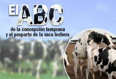 El desafío mayor para la detección de celos incluye primero las vacas que se encuentran en anestro y que efectivamente no están demostrando signos de celo: Juan José Molina E. Foto: web.altagenetics.com - contextoganadero.com Juan José Molina Echeverri, El ABC de la concepción temprana y el posparto de la vaca lechera, Juan José Molina Echeverri El ABC de la concepción temprana y el posparto de la vaca lechera, La tasa de detección de celo (TDC), CONtexto ganadero, ganadería Colombia