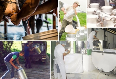 La situación de los productores lácteos cada vez es más crítica y requiere que el Ministerio de Agricultura tome medidas urgentes. Foto: mific.gob.ni / unilac.com.co / elcampesino.co / diariodelsur.com.co. Aurelio Iragorri Valencia, Iragorri precio de la leche, situación de la lechería en colombia, crisis de los lecheros en colombia, dificultades de la lechería en colombia, Alejandro Galvis, mensaje de alejandro galvis al minagricultura, ganadería colombia, CONtexto ganadero