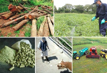 Es necesario seguir insistiendo en por qué los ganaderos deben desaprender algunas prácticas para lograr ser más eficientes y productivos. Foto: ars.usda.gov - Emol.com - santafe-ar.all.biz - sitios.claro.com.co - Deforestación.net prácticas que deben evitar los ganaderos, malas prácticas de los ganaderos, CONtexto ganadero