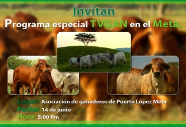 Usted puede participar del remate de TVGAN el próximo 14 de junio desde su casa. Foto: TVGAN TVGAN Alianza Compañía Ganadera Meta Asogán Puerto López 14 junio 2017, eventos TVGAN 2017, grabar videos TVGAN, promoción TVGAN junio 2017, videos TVGAN 2017, TVGAN Remates, TVGAN 14 de junio de 2017, programa TVGAN Remates, TVGAN El técnico es usted, tvgan fedegán, CONtexto ganadero, ganaderos colombia