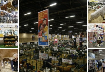 Disfute en familia las actividades que tiene Agroexpo para este fin de semana. Foto: Cortesía. agroexpo, agroexpo 2017, último fin de semana agroexpo, eventos agroexpo, ferias ganaderas, ferias ganaderas en colombia, ganadería colombia, contexto ganadero