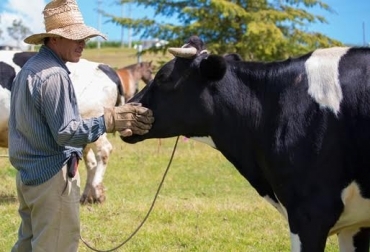El tema no deja de ser estudiado y analizado ante los impactos positivos que genera en materia productiva. Foto: journalmex.wordpress.com. Bienestar Animal, bienestar animal en ganadería, 5 libertades del ganado, buen trato al ganado, msd colombia, ganadería colombia, CONtexto ganadero