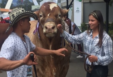 Los promotores de Lucas aseguran que sus pajillas tienen un costo de $30 mil. Foto: CONtexto ganadero. Agroexpo, Agroexpo 2017, Beef Master, pajillas de Lucas, Asociación Beef Master, CONtexto ganadero, ganadería Colombia
