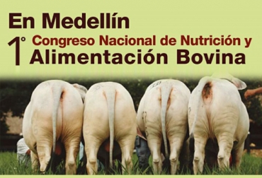 El evento, organizado por Produmedios y el periódico El Agro, se enfocará en las alternativas de alimentación para los bovinos. Foto: Cortesía Evento alimentación bovina Medellín agosto 2017, primer congreso nacional de alimentación y nutrición en bovinos Medellín agosto 2017, periódico El agro y Produmedios, Nutrición en bovinos congreso, CONtexto ganadero, ganaderos Colombia