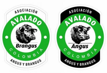 Las distinciones le aseguran al cliente que está adquiriendo carne de alta calidad. Foto: Cortesía. sello angus, sello brangus, asoangusbrangus, asociación angusbrangus de colombia, sello de calidad de la carne, carne angus, carne brangus, contexto ganadero, ganadería colombia
