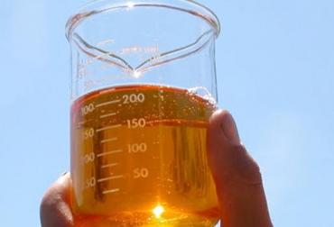 “Gobierno pone en riesgo sectores productivos como el de biodiésel y el de palma de aceite”, dice Jens Mesa, presidente de Fedepalma. Foto: tallerdebiodiesel.es. registro importador ,conpes, biocombustibles, distorsionado, subsidios, dumping, CONtexto ganadero, ganadería colombia