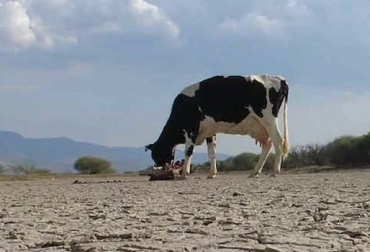 Tan preocupante es que el hombre está sobreexplotando el planeta Tierra, al deforestar, quemar y malgastar energía, entre otros y, por lo tanto, está reduciendo la capacidad del ecosistema de sostener seres humanos. Foto: youtube.com. Ricardo Botero Maya, Carta Fedegán, La sequía tiene solución, Pastoreo Racional Voisin (PRV). , CONtexto ganadero, ganadería colombia
