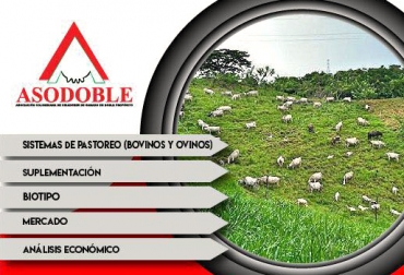 El seminario tratará temas desde los sistemas de pastoreo hasta la comercialización de sus productos. Foto: Asodoble Seminario Asodoble visión empresarial ganadera septiembre 2017, Empresa ganadera Asodoble, Seminarios Asodoble, Asociación Colombiana de Criadores de Ganado Doble Propósito, Asodoble, Gestión empresarial ganaderías, gestión de empresas ganaderas, aspectos para gestión empresas ganaderas, empresa ganadera, CONtexto ganadero, ganaderos colombia, noticias ganaderas colombia