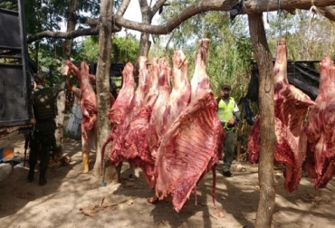 En 30 días, la Policía y el Invima deben dar resultados sobre los operativos adelantados frente a este delito. Foto: areacucuta.com. expendios de carne, Venta de carne, sacrificio clandestino, controles a expendios de carne, mataderos clandestinos, noticias ganaderas colombia, ganadería colombia, CONtexto ganadero