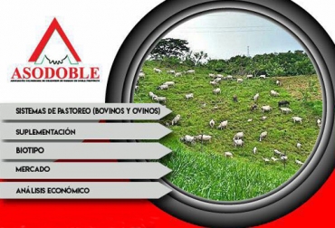 El seminario de Asodoble tratará una visión integral de la empresa ganadera. Foto: Cortesía Seminario Asodoble visión empresarial ganadera septiembre 2017, Empresa ganadera Asodoble, Seminarios Asodoble, Asociación Colombiana de Criadores de Ganado Doble Propósito, Asodoble, Gestión empresarial ganaderías, gestión de empresas ganaderas, aspectos para gestión empresas ganaderas, empresa ganadera, CONtexto ganadero, ganaderos colombia