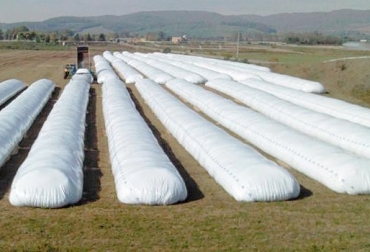 Recuerde que una vez ha sellado el silo, no puede volver a abrirlo para verificar la calidad del producto. Foto: pregonagropecuario.com Silos clima frío Colombia, silos clima frío, silo ganadería Colombia, conservación del silo, cómo conservar el silo, cómo reutilizar el silo, reutilización del silo, ensilado, ensilaje, preparar un buen silo, características del silo de calidad, silo de calidad, suplemento bovino, alimento bovino, alimento para épocas difíciles, CONtexto ganadero, ganaderos colombia, noticias ganaderas colombia