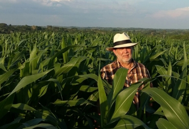 El experto observó resultados de un cultivo de maíz Maximus con riego por goteo en un predio de Sincelejo. Foto: Germán García Maíz maximus, Maíz maximus Caribe húmedo, silo de maíz ganadería Colombia, variedades de maíz en colombia, Silo de maíz, preparar un buen silo, características del silo de calidad, silo de calidad, suplemento bovino, alimento bovino, alimento para épocas difíciles, CONtexto ganadero, ganaderos Colombia, noticias ganaderas Colombia