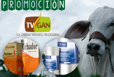 Con estos productos, usted podrá desparasitar y promover la ganancia de peso en su ganado. Foto: TVGAN tvgan promociones, equipos ganaderos promociones, Promociones TVGAN octubre 2017, productos ganado promoción, productos finca promoción, promoción TVGAN octubre 2017, productos finca promoción octubre 2017, CONtexto ganadero, ganaderos colombia, noticias ganaderas colombia