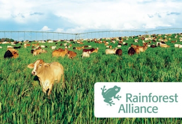La carne producida por Agrolonja será comercializada en 2 puntos de Carulla en Bogotá. Foto: Cortesía. agrolonja, Rainforest Alliance, agrolonja Rainforest Alliance, sello Rainforest Alliance, carne agrolonja, carne agrolonja Rainforest Alliance, Venta de carne, carne sello Rainforest Alliance, Grupo Éxito, carulla, pomona, comercio de carne, carne ecológica, ganadería colombia, noticias ganaderas colombia, Ganadería Sostenible, CONtexto ganadero