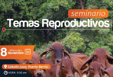 Los ganaderos de Puerto Berrío y los alrededores podrán participar del seminario organizado por Coregán. Foto: Coregán IATF, protocolo IATF exitosa, Inseminación Artificial en Tiempo Fijo, IATF, Mejoramiento de cantidad y calidad de carne, protocolo IATF, incremento de producción de terneros, comercialización de carne, CONtexto ganadero, ganaderos Colombia, Coregan, Comité Regional de Ganaderos Puerto Berrio, noticias ganaderas Colombia