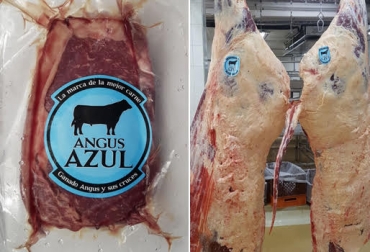“Utilizamos ganado máximo de tres años de edad cuya genética, permite lograr una conformación de canales excelente”, agregó, Juan Pablo Ortiz. Foto: Angus Azul. Angus azul, carne de Angus, carne de Brangus, 12 referencias, subproductos cárnicos, hamburguesa, carne de primera, ganado de calidad, máximo de 3 años, CONtexto Ganadero, noticias de ganadería colombiana.
