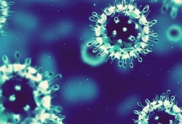 El coronavirus genera diarreas severas en bovinos. Foto: Familia Coronaviridae - blogger Coronavirus bovino, Virus en bovinos enfermedades de los bovinos, Enfermedades de los rumiantes, Coronarivus bovino Colombia, Tratamiento para el coronavirus bovino, Corovinarus, CONtexto ganadero, ganaderos Colombia, noticias ganaderas Colombia