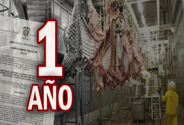 En agosto de 2017 se cumplió el primer año de vigencia del decreto 1500 para regular las plantas de beneficio animal, que fue expedido en 2007. Foto: Vanguardia Liberal / CONtexto ganadero Decreto 1500 fin de año 2017, Decreto 1500 de 2007 Vigencia 1 año, decreto 1500 de 2007, Estado plantas de sacrificio 2017 decreto 1500, decreto 1500 2017, plantas de sacrificio 2017, aplazamiento del decreto 1500 de 2007, vigencia 1 año decreto 1500 plantas de beneficio, demoras decreto 1500, estado plantas de sacrificio del país, Invima, panorama plantas de sacrificio, CONtexto ganadero, ganaderos Colombia, noticias ganaderas Colombia