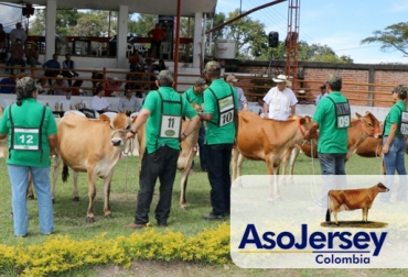 Asojersey espera seguir creciendo en 2018, incrementando su número de afiliados.Foto: asojersey.com Asojersey 2018, Día de Campo Asojersey febrero 2018, Junta directiva Asojersey 2017-2019, presidente Asojersey 2018, proyectos Asojersey, actividades Asojersey 2018, cambio junta directiva Asojersey, Fedegán Asojersey 2018, CONtexto ganadero, ganaderos colombia, noticias ganaderas colombia